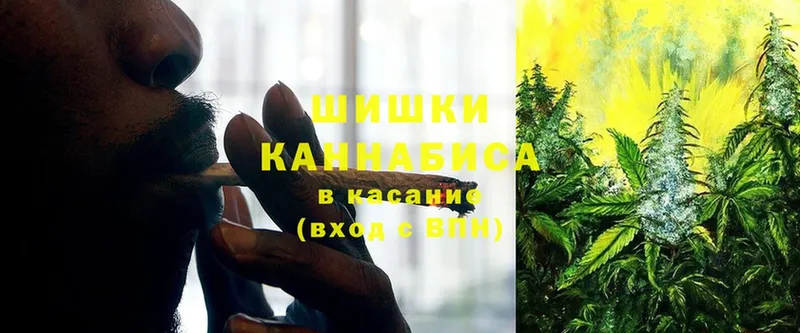 мориарти телеграм  цена наркотик  Злынка  Шишки марихуана OG Kush  OMG ССЫЛКА 